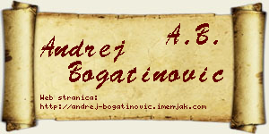 Andrej Bogatinović vizit kartica